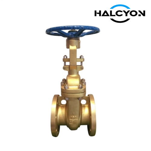 Class 150/300/600 Gate Valve